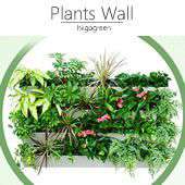 Ӫ PLANTS WALL